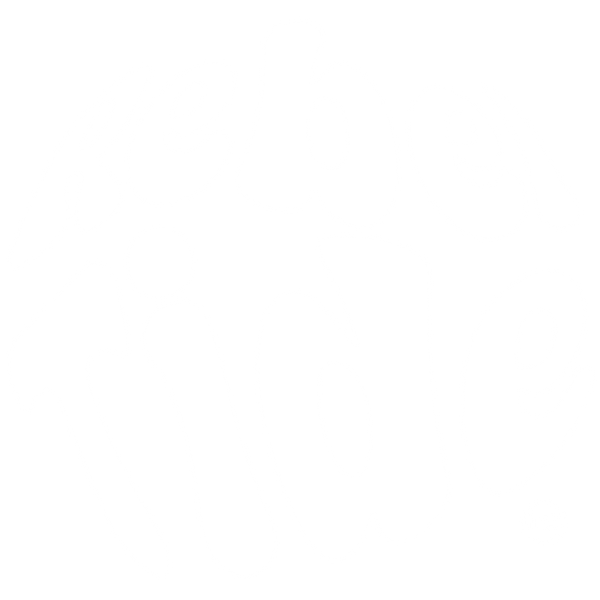 Rebel Tide